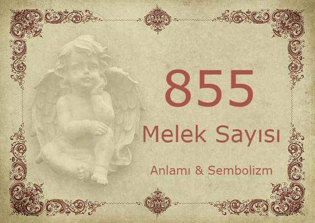 855 Melek Sayısı – Anlamı ve Sembolizm (Yaşam, Aşk ve Geleceğiniz İçin Ne İfade Ediyor?)